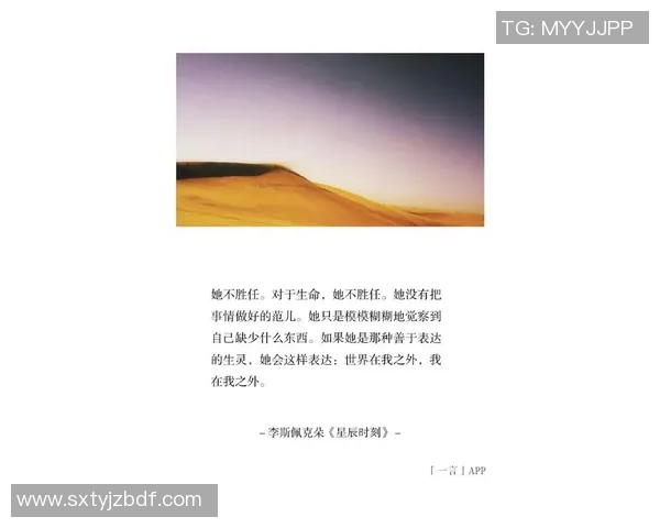 何思雨：在纷繁世界中寻找内心的宁静与自我价值的旅程