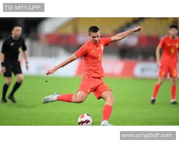 匈牙利与斯洛伐克精彩对决赛果揭晓引发球迷热议